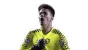 luanpolli sport futebol goalkeeper 27 Sticker