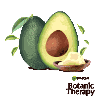 Avocado Botanic Therapy Sticker by Garnier Greece