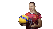 Volleyball Sticker by Tulitsa