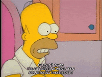 Season 1 GIF by The Simpsons