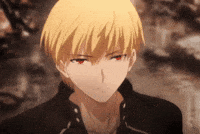 Holy Grail Fate GIF