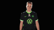 E Sports Sport GIF by VfL Wolfsburg