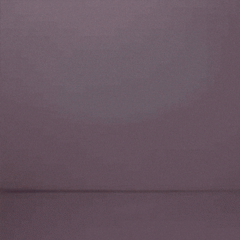 세븐틴 Jeonwonwoo GIF