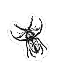 Bug Sticker
