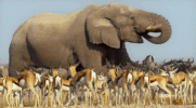 GIF by Vulture.com