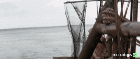 To The Moon Bitcoin GIF by Zypto