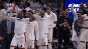 Nba Playoffs Basketball GIF by NBA
