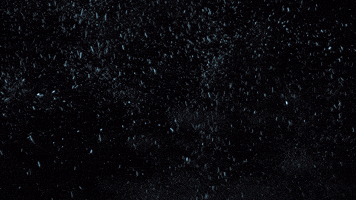 Icy Autoscuola Bacchi