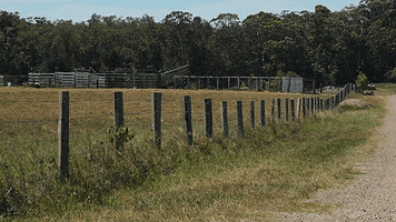 australia fence GIF by Jerology