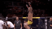 ufc sports sport ufc mma GIF