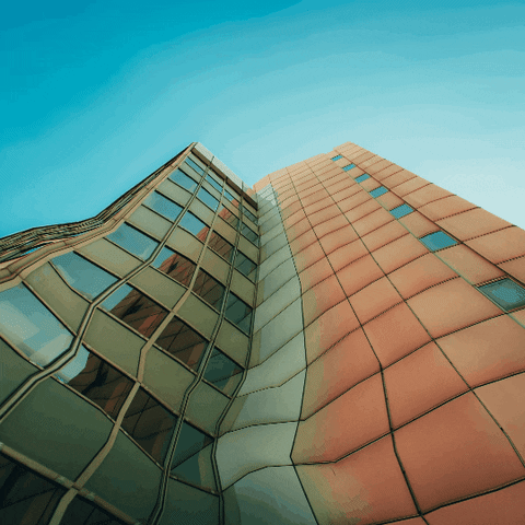 Art Animation GIF by makio135