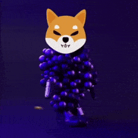 Shib Coin GIF by SHIB MEMES