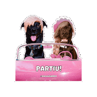 Dog Viajar Sticker