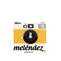Patatasmelendez potato fotografia cocina camara Sticker