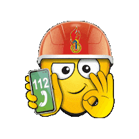 Happy Fun Sticker by The Goodeys