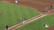 Ny Mets Sport GIF by New York Mets