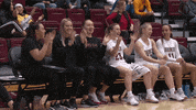 Santa Clara University Dancing GIF by Santa Clara Broncos