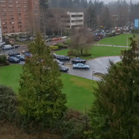 Police Respond to Reports of Shooting at Seattle Hospital