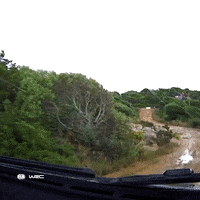 Sport Driving GIF by FIA World Rally Championship