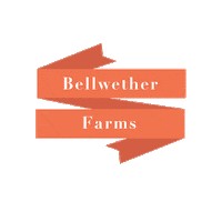 Logo Banner Sticker by bellwetherfarms