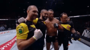 ufc 212 GIF