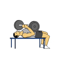 Bench Press GIF
