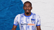 Bundesliga Berlin GIF by Hertha BSC