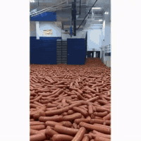 Drake Hotdog GIF by Respective