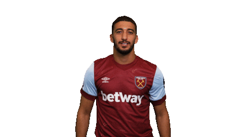 Premier League Hammers Sticker by West Ham United
