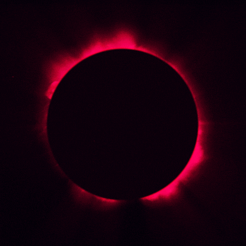 lolalola love chill weed eclipse GIF