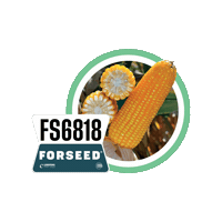 Forseedsementes Sticker by Longping High Tech