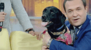greg kelly hug GIF by Good Day New York