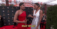 Red Carpet Omg GIF by Emmys