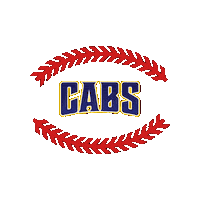Cabs Sticker by Flowing Wells