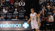 college basketball GIF by Drexel Dragons