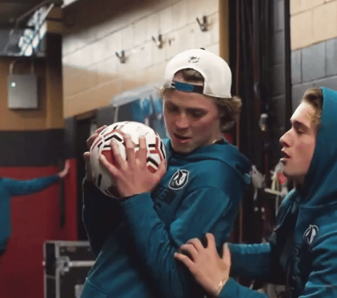 kaisever hockey giphycreatortest will smith sharks GIF