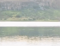 African Tigerfish Catches Swallow in Flight
