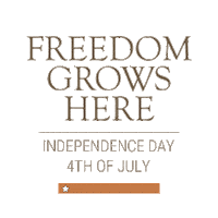 Independence Day Realestate Sticker by eXp Luxury