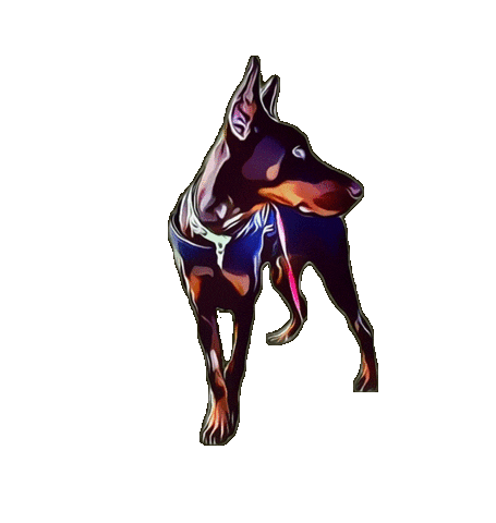 Rocco Sticker by DreamTeamMovers