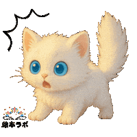 Cat Animation Sticker