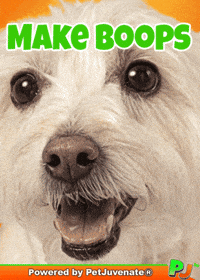 Dog Talk GIF by PetJuvenate - PJ