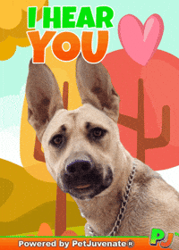Henlo Hooman Fren GIF by PetJuvenate - PJ