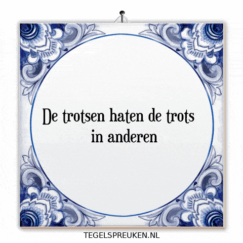 Wijsheid Spanning GIF by Tegelspreuken.nl