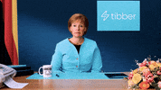 tibber_deutschland tibber switchonrebel GIF