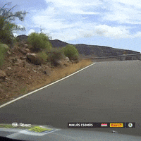 FIA-ERC fail racing oh no driving GIF