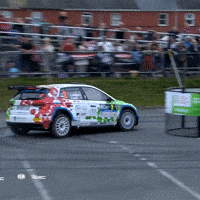 Erc GIF by FIA European Rally Championship