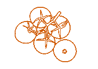 Tomato Sticker by Common Stitch