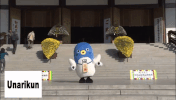 japan fly GIF
