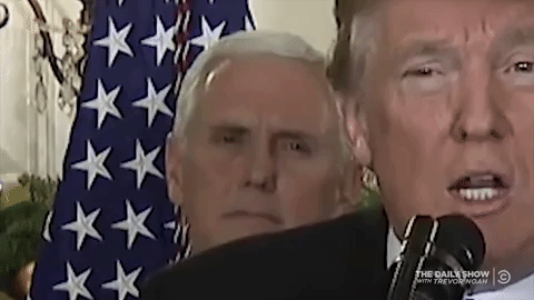 crushing donald trump GIF