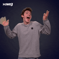 Happy Oh My God GIF by SWR3
